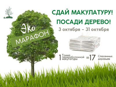 Проект #БумагиNet запускает второй экологический марафон «Сдай макулатуру! Посади дерево!»