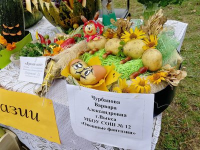 День деревни в Покровке отметили праздником картошки (2019)