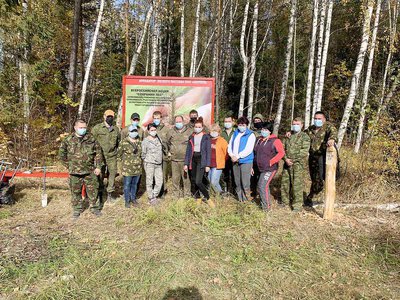 В Нижегородской области высадили более 200 тысяч деревьев в рамках акции «Сохраним лес»
