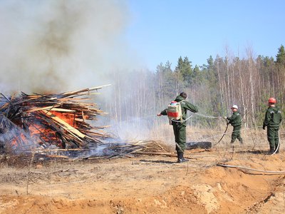 Пожарно-технические учения в районе п. Виля (Выкса, 2021 г.)