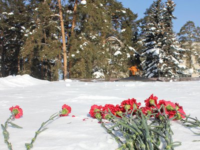 Глеб Никитин и Евгений Люлин поздравляют нижегородцев с Днём защитника Отечества