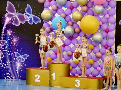Межрегиональный турнир по художественной гимнастике прошёл в Выксе