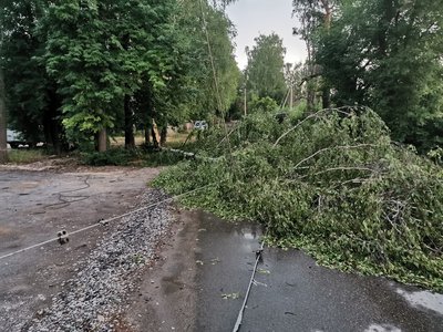 Ураган в Выксе 8 июля
