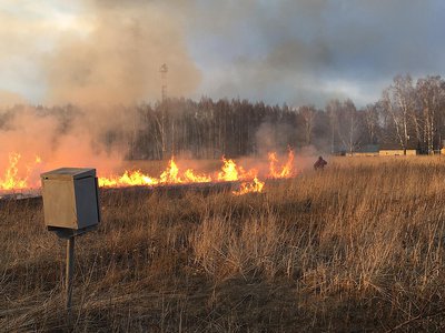 Из-за неосторожного обращения с огнём в округе произошло 5 возгораний сухой травы за три дня