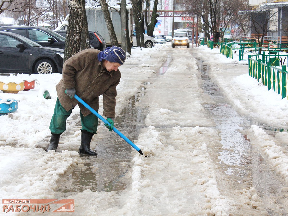 На первом снегу в осиновых