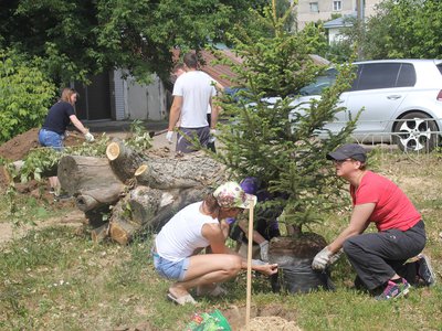День России отметили посадкой деревьев