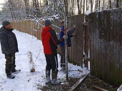 Добровольцы помогли приюту для животных починить забор