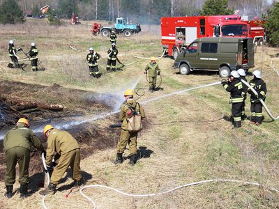 Более 80 случаев горения сухой растительности зафиксировано в Нижегородской области с начала апреля