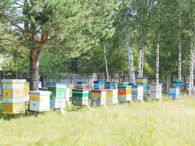Мяря-пасека-Митрофанова-053.jpg