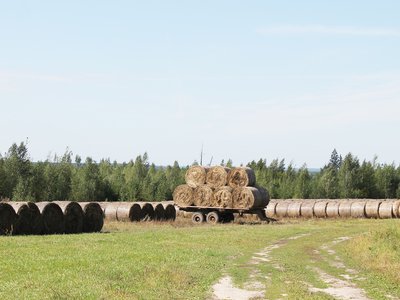 Модин-и-Овсепян-087.jpg