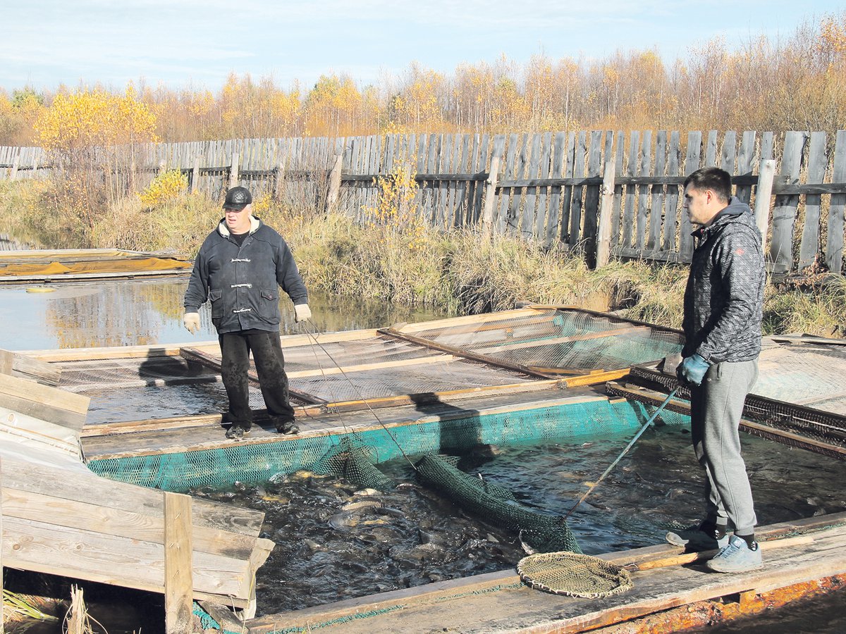 Профессиональные традиции продолжаются: в рыбхозе трудится и внук Николая Подуруева (слева) – Никита (справа)