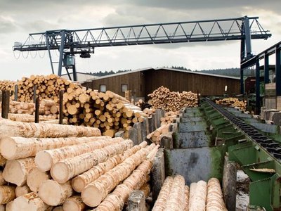 Почти 700 пунктов переработки древесины поставили на учёт в регионе