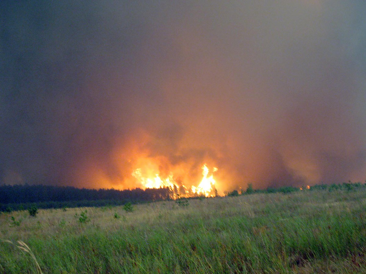 Пожары-2010-Тамболес.jpg