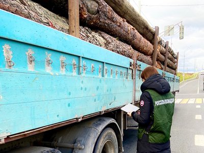 В Выксе проверили перевозку лесопродукции