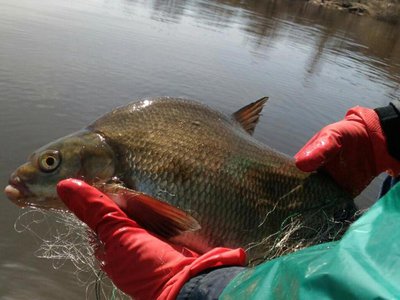 С 1 апреля на территории Нижегородской области вводятся ограничения на рыбалку
