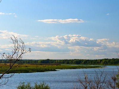 Национальный парк в Выксе: быть или не быть?