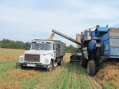 В Новодмитриевке продолжается уборка сельхозкультур