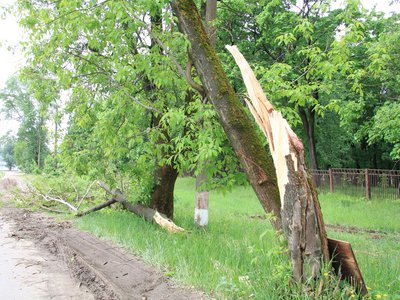 Последствия урагана 29 мая в Выксе: ул. Ведерникова