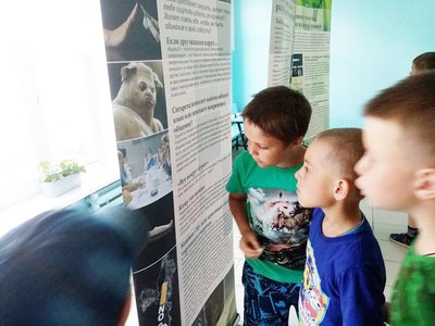В Досчатинской школе открылась выставка «Человеческий потенциал России»