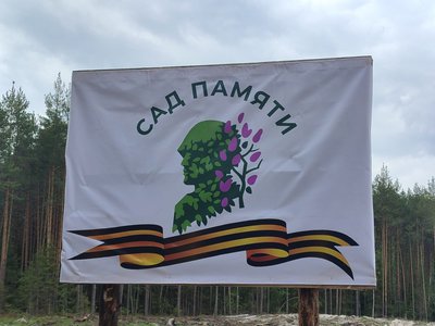 В Выксунском районном лесничестве прошла акция «Сад памяти»