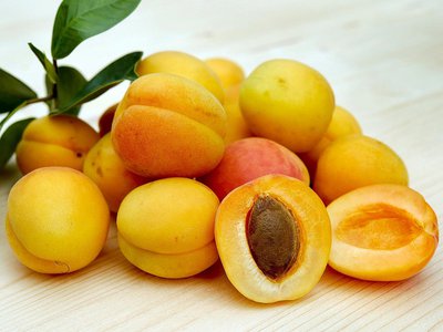 В абрикосах из Таджикистана нашли восточную плодожорку