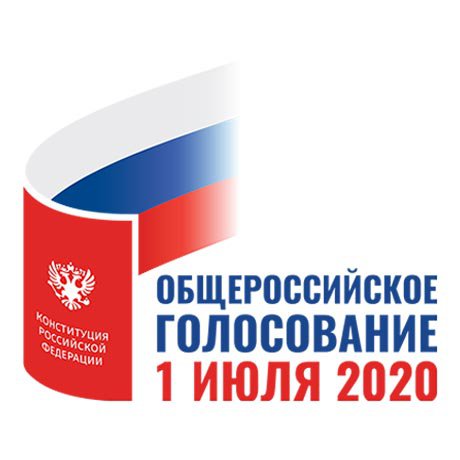 Нижегородцы могут принять участие в голосовании по поправкам в Конституцию РФ на дому