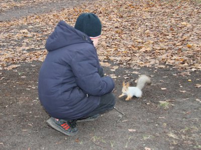 Белок пересчитали