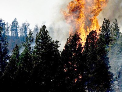 Пожар в лесу обнаружили с самолёта