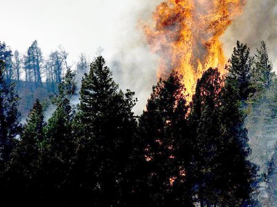 В лесах округа установлен пятый класс пожароопасности