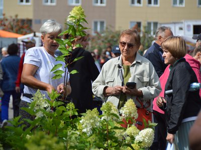 Специализированная ярмарка по продаже цветов пройдёт в Выксе и округе