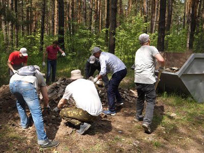 Благодаря волонтёрам ОМК лес в Мотмосе стал лучше
