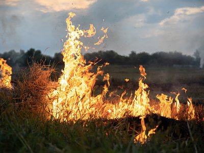 Около 30 пожаров из-за пала сухой травы зарегистрировано на территории области с начала весны