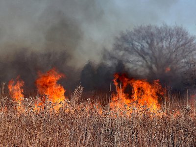 В поле за Туртапкой сгорели три гектара травы