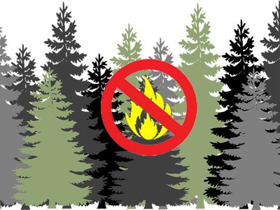 В большинстве районов области 26-29 апреля ожидается высокая (4 класс) пожароопасность лесов