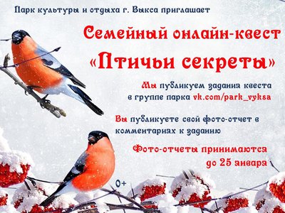 Онлайн-квест от парка КиО «Птичьи секреты» продлевается до 25 января