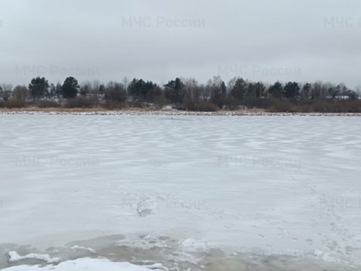 Выксунец провалился под лёд на реке Оке в Шиморском
