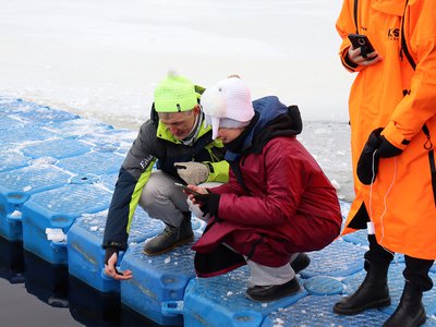 Чемпионат Выксунского округа по зимнему плаванию 25 января 2025