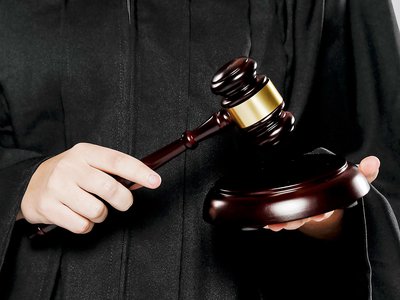 Суд вынес обвинительный приговор лесничему-взяточнику