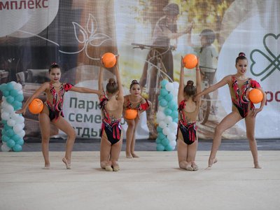 Соревнования по художественной гимнастики, г. Доброград
