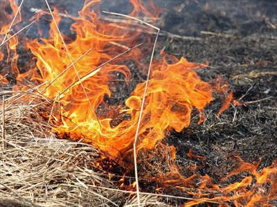 Специалисты Выксунского лесхоза тушили пожар в Навашинском округе