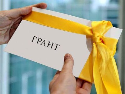 Нижегородские НКО могут получить гранты на реализацию общественно полезных социальных проектов