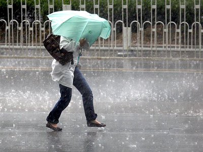 МЧС предупреждает, что ожидается ураганный ветер и сильный дождь