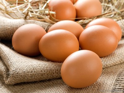 Плюсы и минусы сеймовских яиц