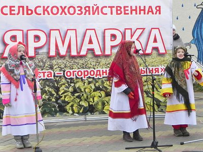 Сельскохозяйственная ярмарка «Капуста – огородная барыня» пройдет в Выксе