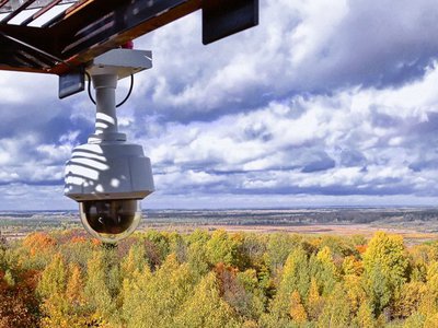 Дополнительные камеры видеонаблюдения установят в нижегородских лесах в этом году