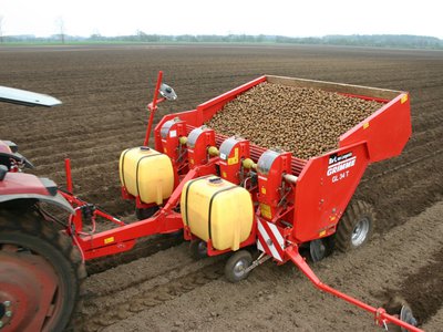 Владельцы личных подсобных хозяйств смогут получить субсидию на производство картофеля и овощей