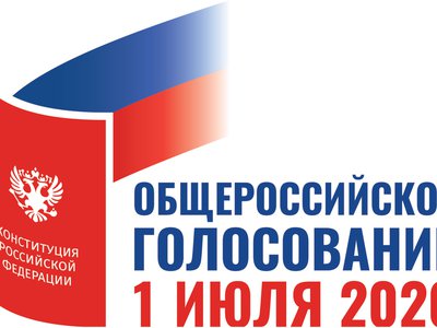 В Нижегородской области подведены итоги электронного голосования по поправкам в Конституцию РФ