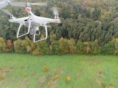 Квадрокоптер помог обнаружить незаконную рубку в Выксунском районном лесничестве