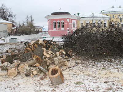 Снос старых деревьев в парке КиО (Выкса, 2017 г.)