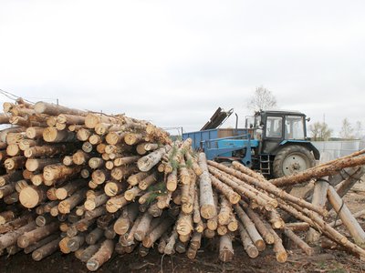 Правительство региона разрабатывает меры поддержки деревообрабатывающей отрасли